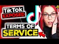 TikTok S Updated Terms Of Service Are SCARY Lawyer Reacts
