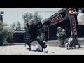 Master Of The Shadowless Kick