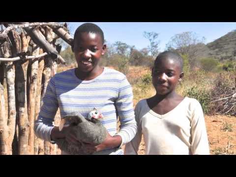 Chicken Businesses for AIDS Orphans