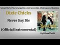 Dixie Chicks - Never Say Die (Official Instrumental)