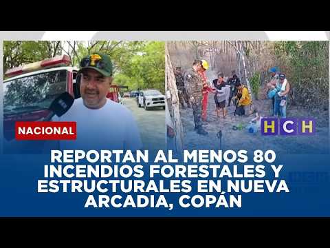 Reportan al menos 80 incendios forestales y estructurales en Nueva Arcadia, Copán