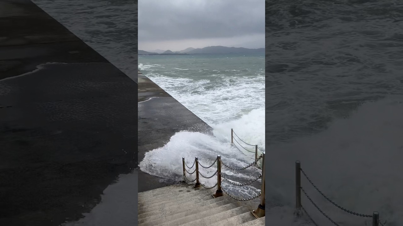 激荒れの田ノ浦漁港がすごい　フィッシングマックス和歌山インター店