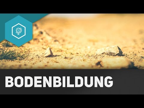 Soil Formation: From Rock to Clay Mineral - Soil Basics 2