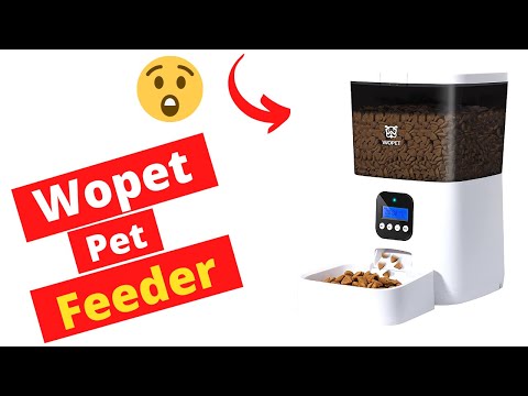 Wopet Automatic Pet Feeder Review