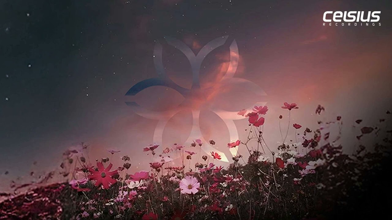 antoanesko - Shadows Of A Lost Dream