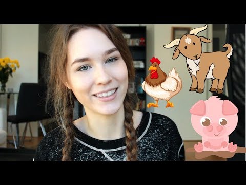 Finnish Animal Names | Day at the Farm | KatChats