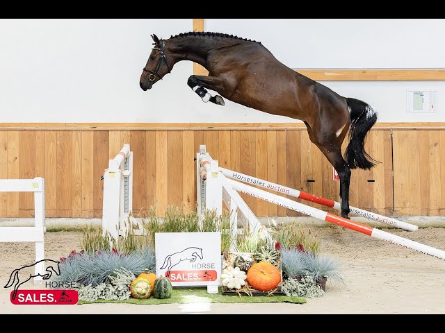 Riding video Relencia