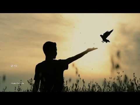 Sheri Marshel - Отпусти Меня ( neruS Remix )