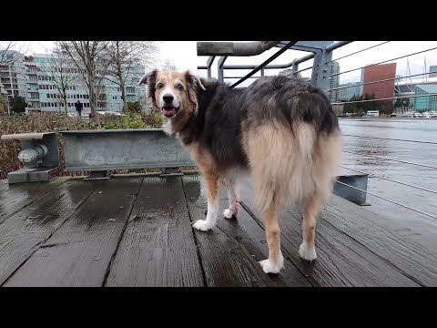 Saturday Morning Walks