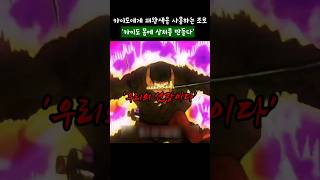 카이도에게 패왕색을 사용하는 조로