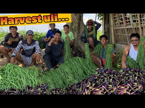 EP668: MAKASARILI: BAKIT KO NAMAN ITATAGO?