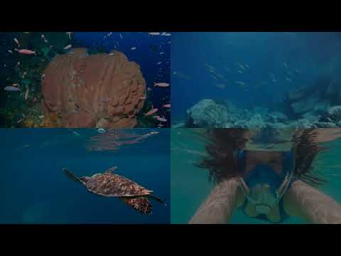 New Caledonia's Coastal Paradise: Discover the World's Top Beaches