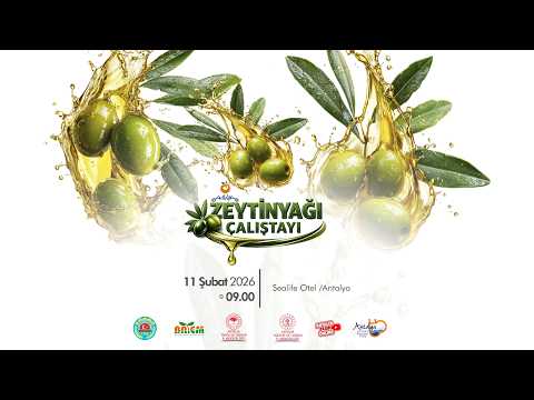 ALTIN SIVI ZEYTİNYAĞI ANTALYA&rsquo;DA &Ccedil;ALIŞTAY&rsquo;DA KONUŞULDU