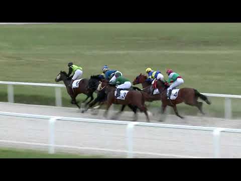 2019.06.23. 06. futam - GEIST GÁSPÁR EMLÉKVERSENY (IV.kat.) (szintetikus pálya)