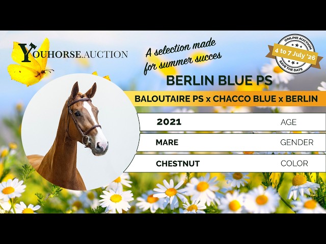 Berlin Blue PS