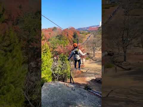 空中散歩 hqdefault.jpg