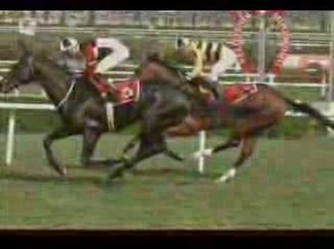 horse racing in turkey