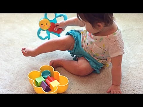 فيشر برايس – لعبة فراشة الفرز بالأشكال CDC22 للأطفال – تعليم الأشكال والألوان وتنمية المهارات من عمر 6 إلى 36 شهرًا من فيشر برايس video