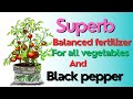 All Of Yaramila Complex Fertilizer Best Fertilizer For Black Pepper Agri Survival