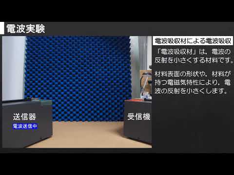 薬学科 研究室紹介｜笠置研究室（共通教育センター）