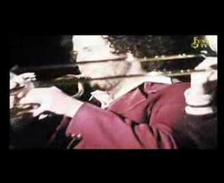 Dog and cat by Funknstein - חגי שומרוני עם פאנקנשטין