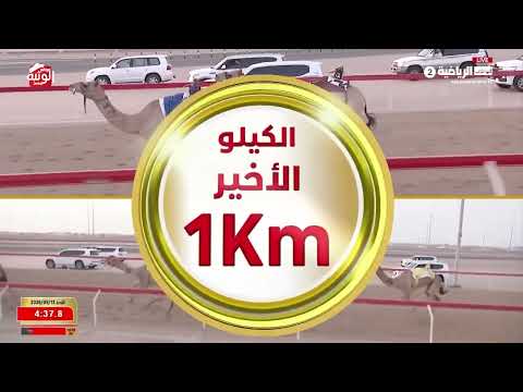 ش 3 (قالط) لـ سعيد ناصر بن سعيد الكتبي 6:09:74 ، شارة الديوان 2026/9/13 إيذاع الوثبة