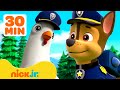 PAW Patrol Rescues Chickaletta W Chase Rubble 30 Minute Compilation Nick Jr