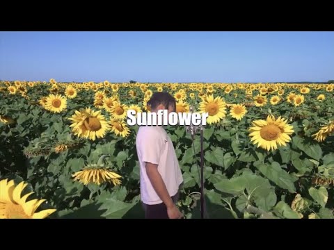 Vaughny Vo - Sunflower (Official Lyric Video)