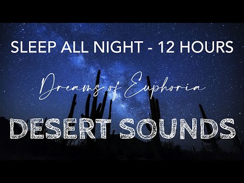 DESERT SOUNDS - 12 HOURS. Crickets, wind, coyotes. Sleep all night.