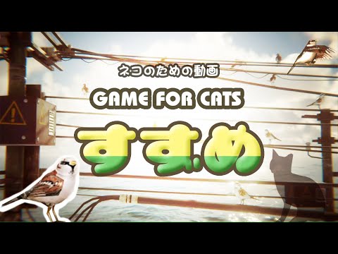[Cat Video] Sparrows Only – 4 Hours GAME FOR CATS Sparrow