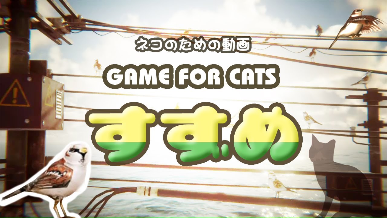 【猫用動画】すずめ ４時間 GAME FOR CATS Sparrow