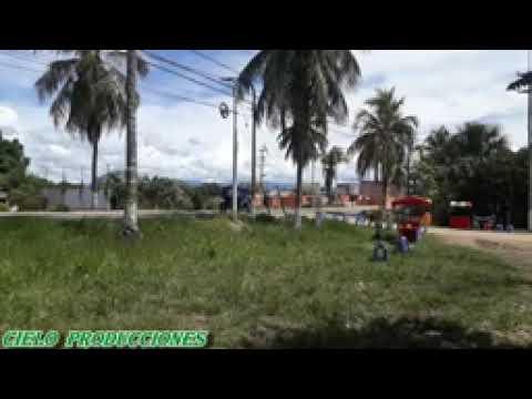 Grupo Amor de Tarapoto - China.