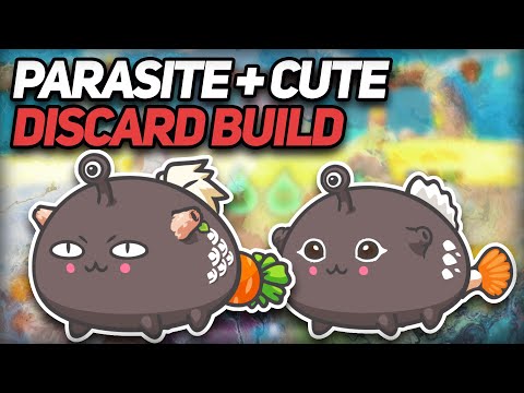 Top rank Aro  Midas Parasite + Cutebunny combinação muito chata - Axie Infinity