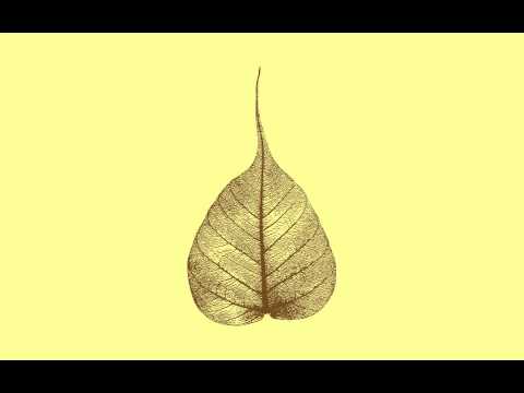 140729 Cultivate Good Desires \ \ Thanissaro Bhikkhu \ \ Short Dhamma Talk