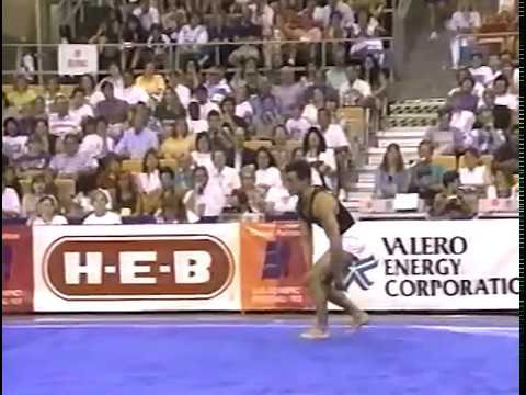 1993 U.S. Olympic Festival