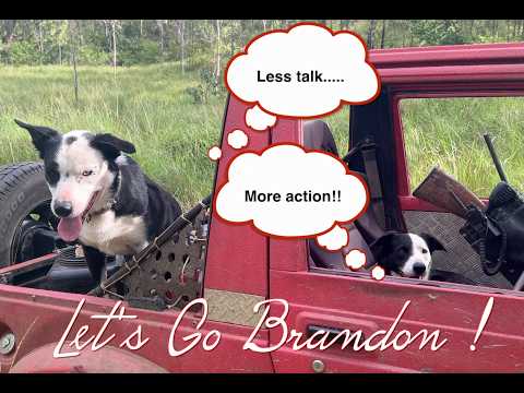 Let's Go Brandon !