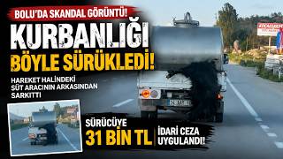 Kurbanlığı Araçtan Sarkıtan Sürücüye 31 Bin Lira Ceza