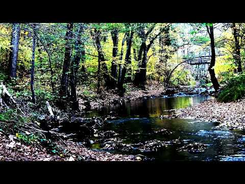 David A  Stewart - Lily Was Here