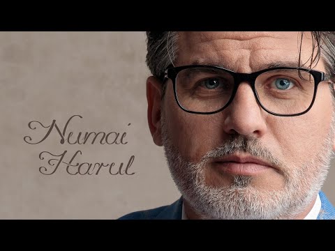 ÎN UMBLAREA MEA PRIN LUME | Cristi Predună