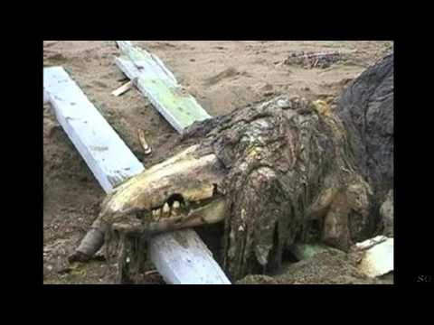 SCP-682 Escape Sound Track