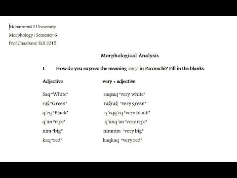 Morphological analysis  -   working on previous exams part 2