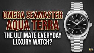 Is This the Perfect Everyday Watch? ⌚ Omega Seamaster Aqua Terra Review & Hands-On