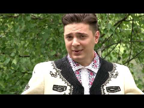 Irinel Motorga -  Dragostea e floare rara