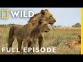 Savage Kingdom The Ultimate Rebellion Full Episode National Geographic