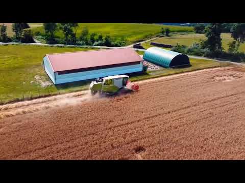 Getreide & Stroh Ernte 2021