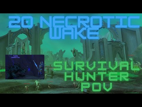 20 Necrotic Wake - Survival Hunter PoV (Fortified)