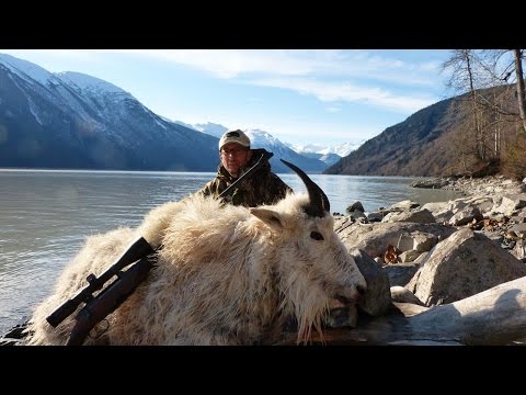 Schneeziege-Jagen-Kanada - hunting snowgoat BC  - WH Jagd