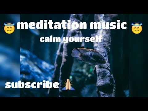 #meditation music  calm music deep sleep and study spa music #royalty free music