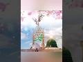 Phool Khilte Hai Padh Padh Ke Sale Allah ️ ️ Youtubeshort Like Islamicstatus Shortvideo