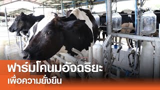 ฟาร์มโคนมอัจฉริยะเพื่อความยั่งยืน⎪คิดเพื่อชาติ⎪01.06.67